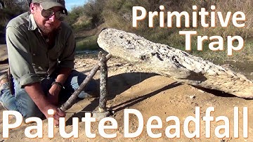 Paiute Deadfall Trap 101 -Primitive Survival Technology-