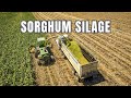 CHOPPING CANE SILAGE | We Made a HUGE Pile!