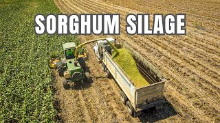 CHOPPING CANE SILAGE | We Made a HUGE Pile!