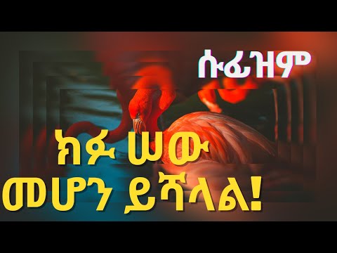 ቪዲዮ: ሱፊዝም - ምንድን ነው? ሚስጥራዊ-አሴቲክ እንቅስቃሴ በእስልምና። የክላሲካል ሙስሊም ፍልስፍና አቅጣጫ