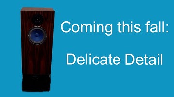 First look: Audio Note AN-E loudspeaker