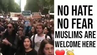 No hate no fear