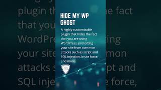 Don't let hackers compromise your WordPress website! 🚨