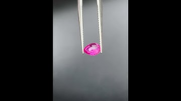 saphia hồng cắt giác sáng đẹp #music #electronicmusic #gems #daquy