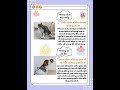 Tư thế đi vệ sinh của mèo nói lên tính cách nó