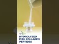 Support Multi-Benefit Wellness with High-Quality Collagen Peptides