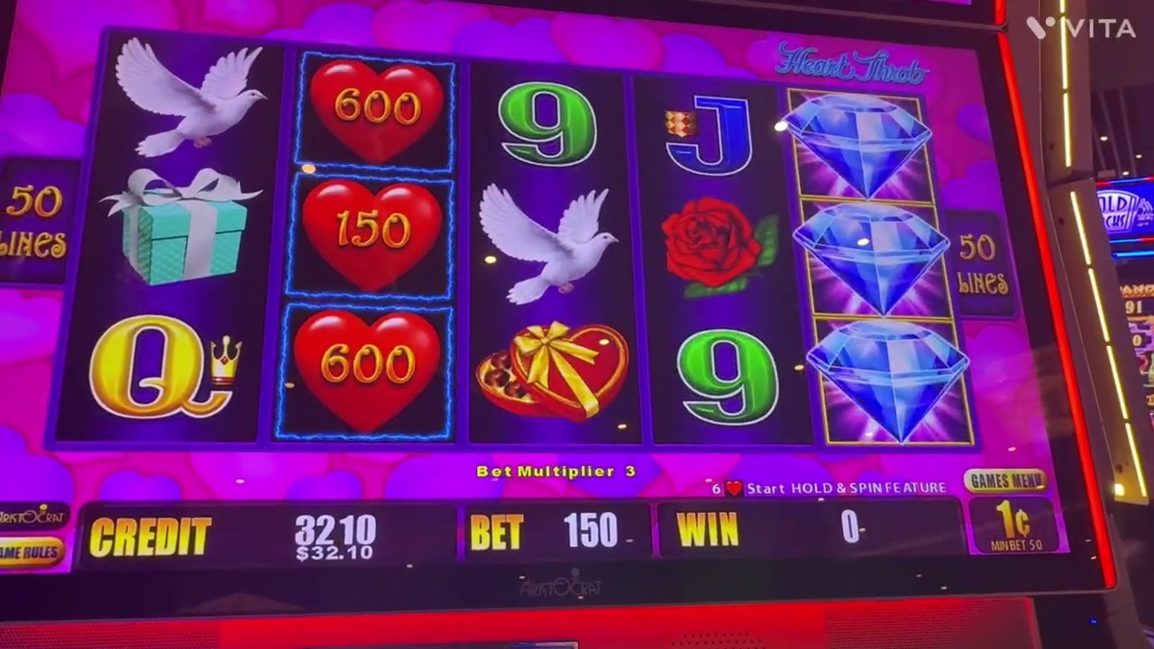 LE QUISE DAR UNA SORPRESA A LUPITA,🌗❤️