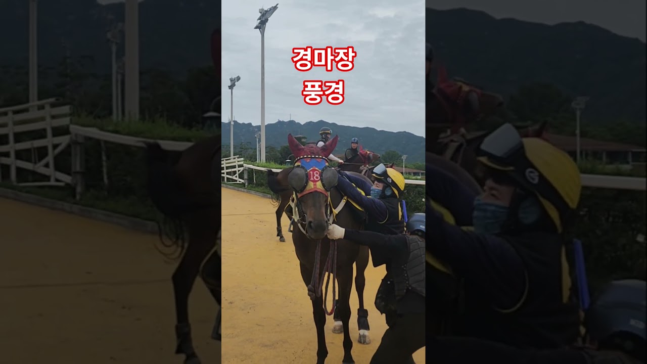 horse 홍짱노래