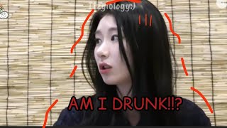 Drunk Chaeryeong Is A Nutshell