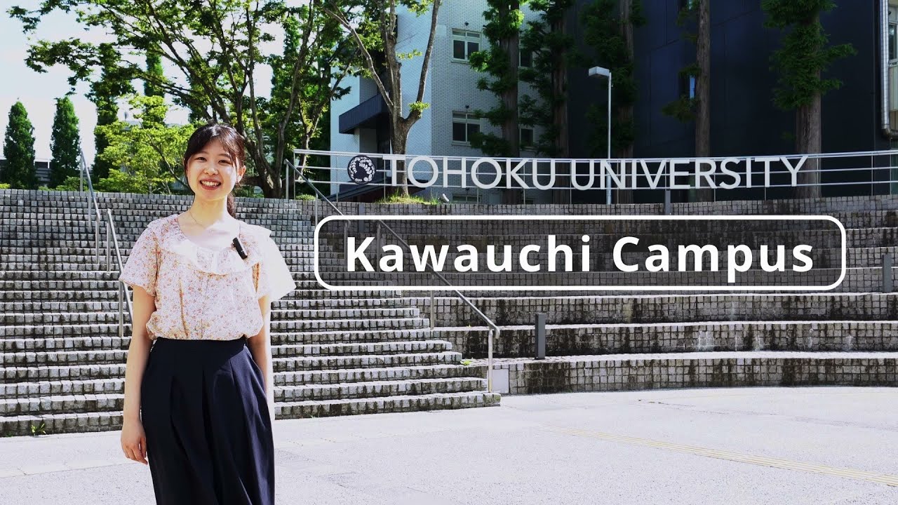 tohoku university kawauchi campus