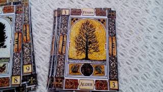 Celtic Tree Oracle Ogham Reading