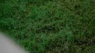 Lauren and Lorraine being random episode 1