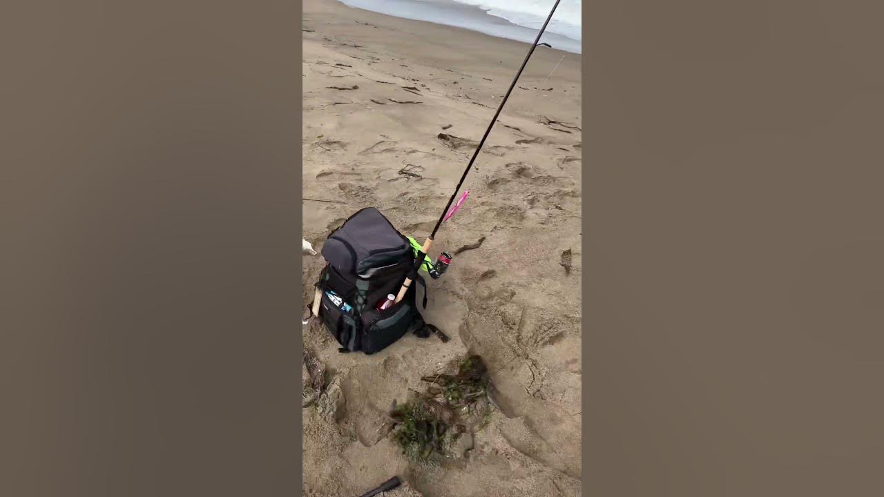 Surf Perch Fishing California