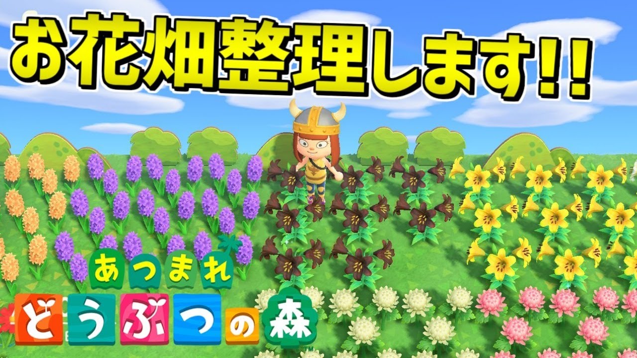 あつ森 お花の整理と金策を考えよう あつまれ どうぶつの森 Youtube