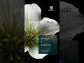 Vaelen – Grain &amp; Groove | Emotional Electronic · Minimal Synth  #atmosphericpop #deepfusic #newmusic