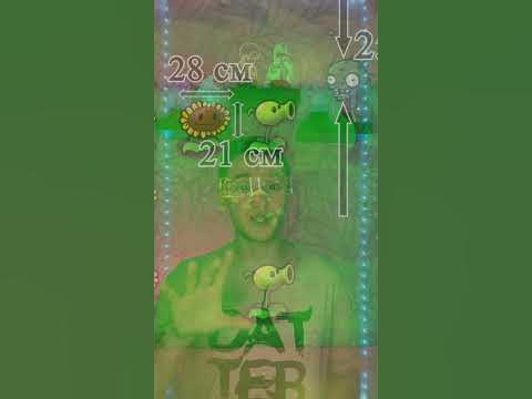Физика ОГЭ - Подсолнух ПВЗ - YouTube