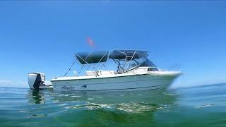 July 6, 2022 Scalloping in Hernando
