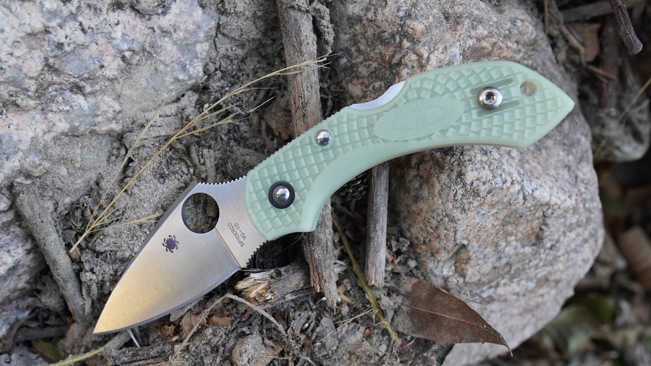 Cutlery Shoppe GITD Spyderco Dragonfly 2 First Impressions! YouTube