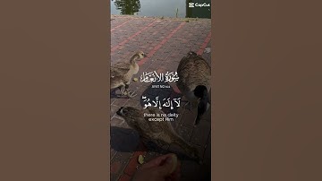 آية تشرح القلب وتثبت الإيمان #المصحف #اللهم_صل_وسلم_على_نبينا_محمد #قران_كريم#quran#الله#تلاوة_خاشعة