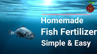 Simple and Easy Homemade Fish Fertilizer