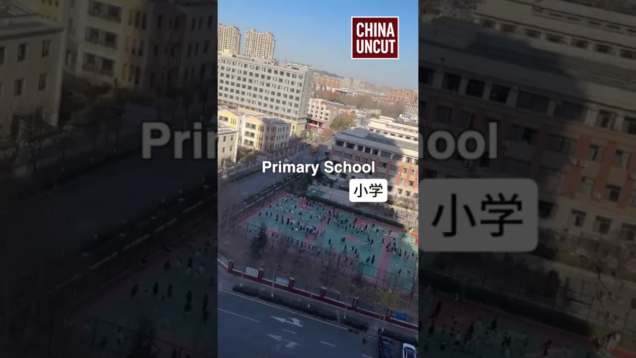 中共国人口现状