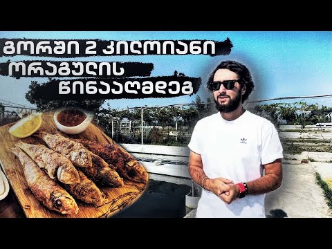 გორში 2 კილოიანი ორაგულის წინააღმდეგ 🎣🐟 თევზების სამფლობელო გორში 🐬🪼🐋