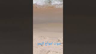 أمواج البحر