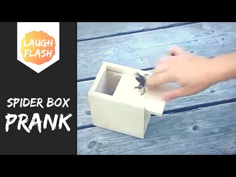 🕷️-scary-spider-box-prank-compilation-🕷️