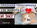 Сердце, печень и желчный пузырь при ГипоТиреозе. Что будет на УЗИ органов брюшной полости и ЭКГ.