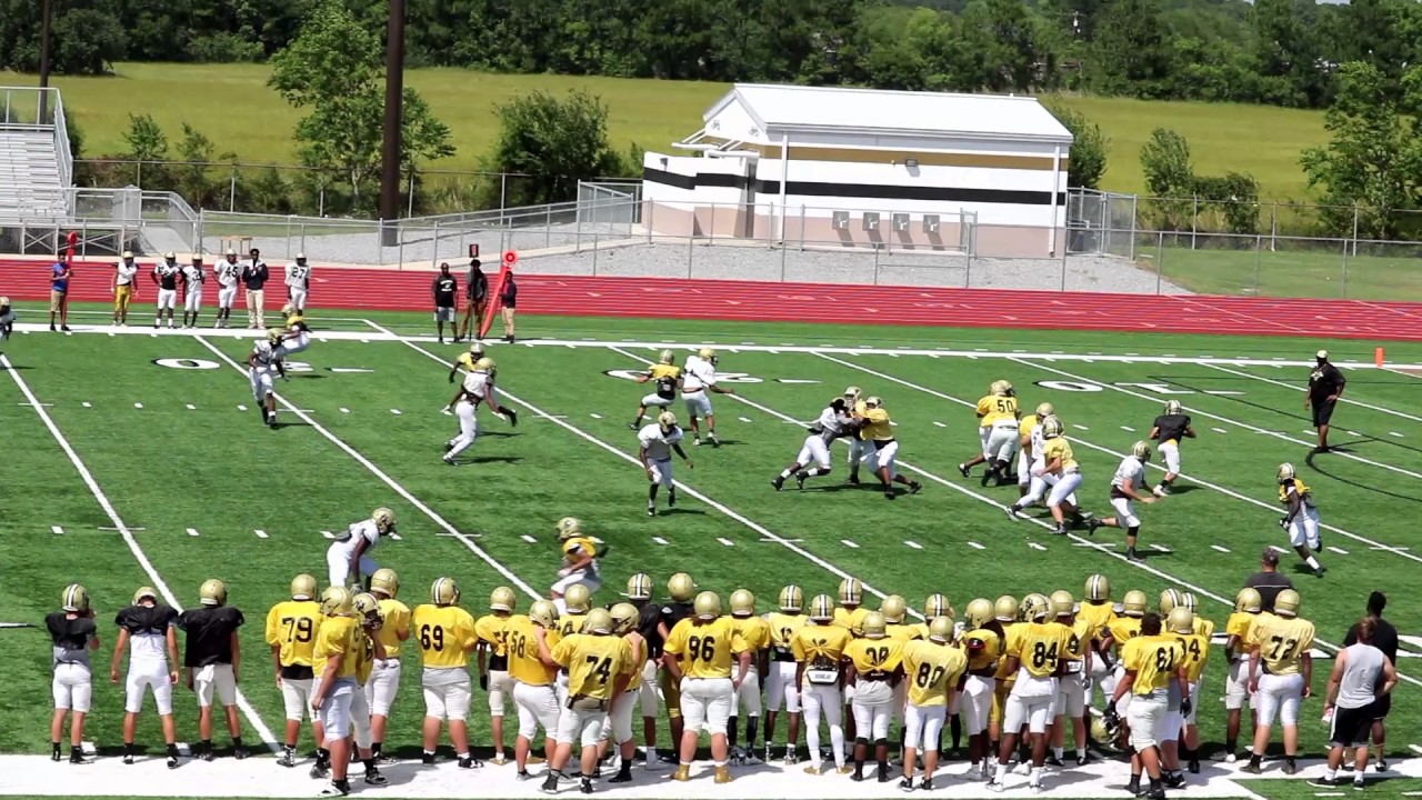 Dylan Breaux Jr. Black and Gold game
