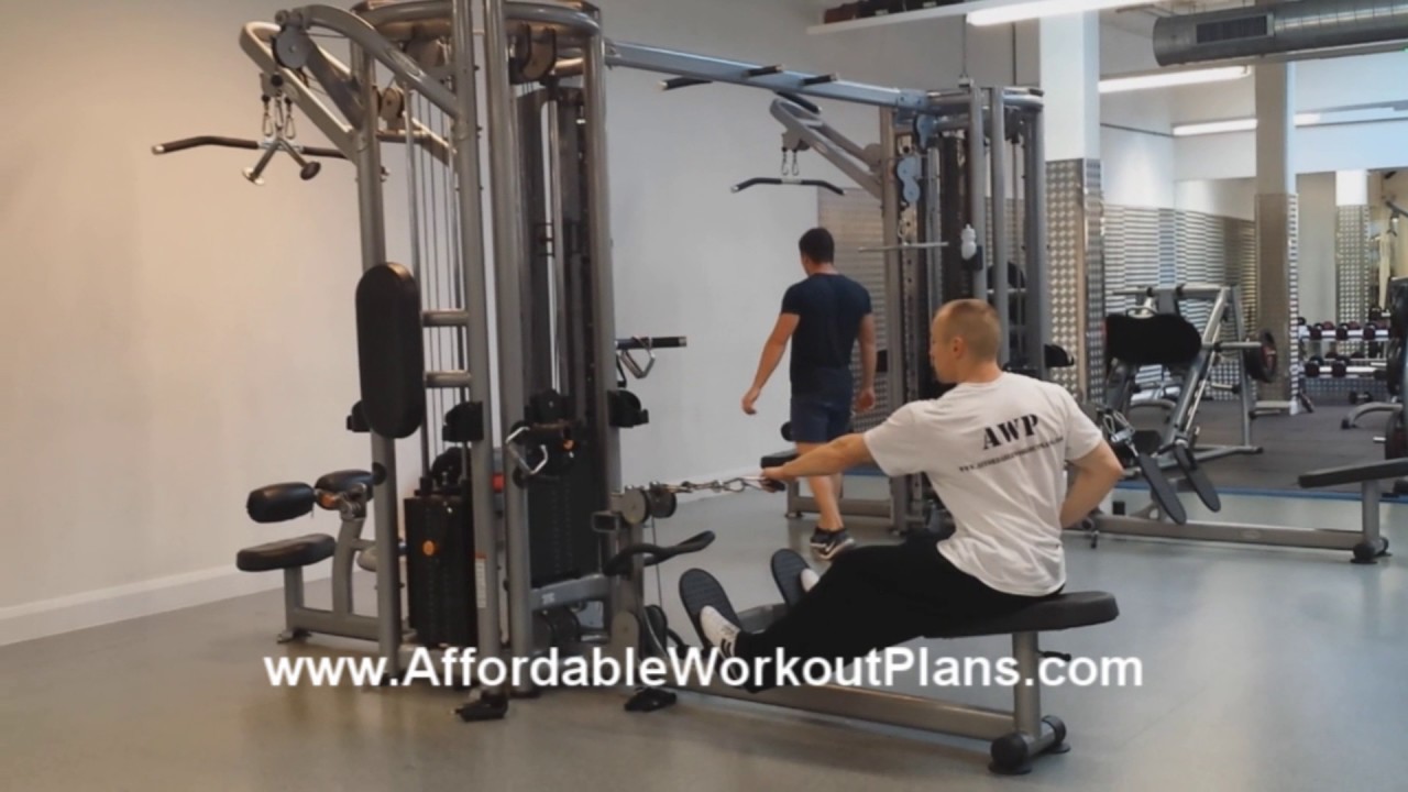 videos for cats Seated Single Arm Rowing Machine (back exercise)