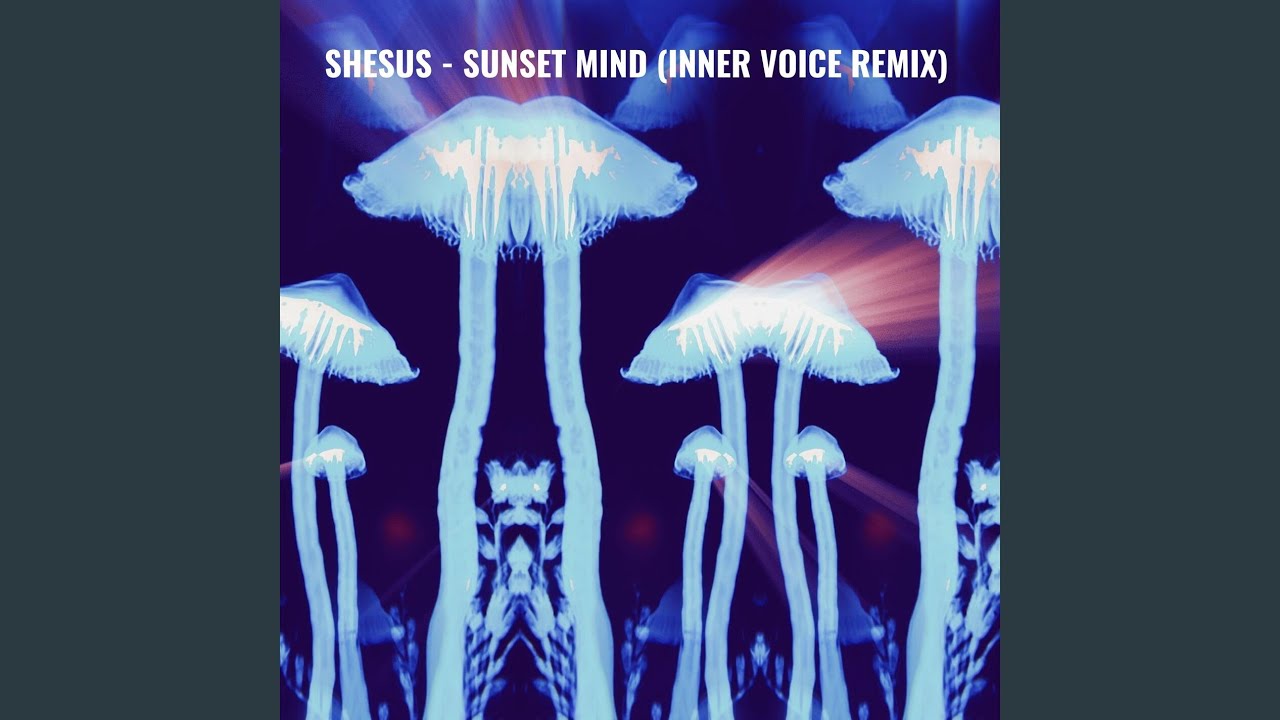 YouTubeでSunset Mind (Inner Voice Remix)を視聴