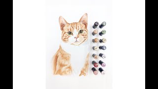 Рисуем рыжего кота маркерами SKETCHMARKER