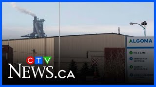 Plagued by U.S. tariffs, Algoma Steel lays off 1,000 employees