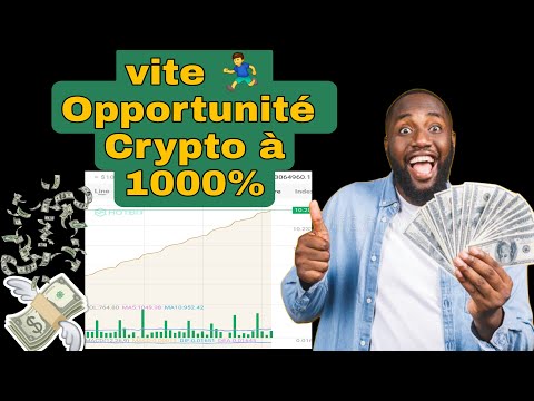 Vite vite une autres crypto à plus de 1000% Dans les prochains jours.