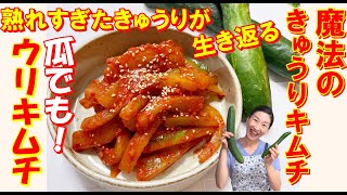 【韓国料理】ウリキムチ 作り方｜成長しすぎたキュウリで胡瓜キムチ レシピ｜食感を生き返らせるきゅうりキムチ レシピ｜きゅうりキムチ 作り方