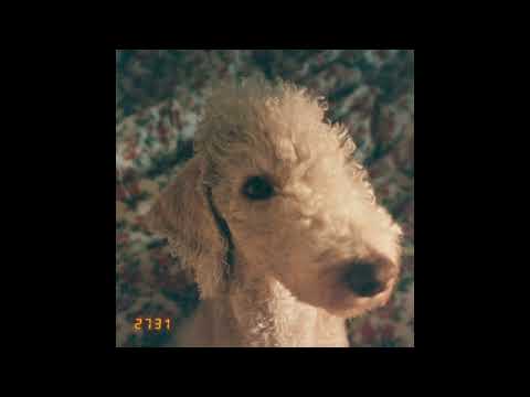 세우 인 윤훼이 - 빛 [2731]