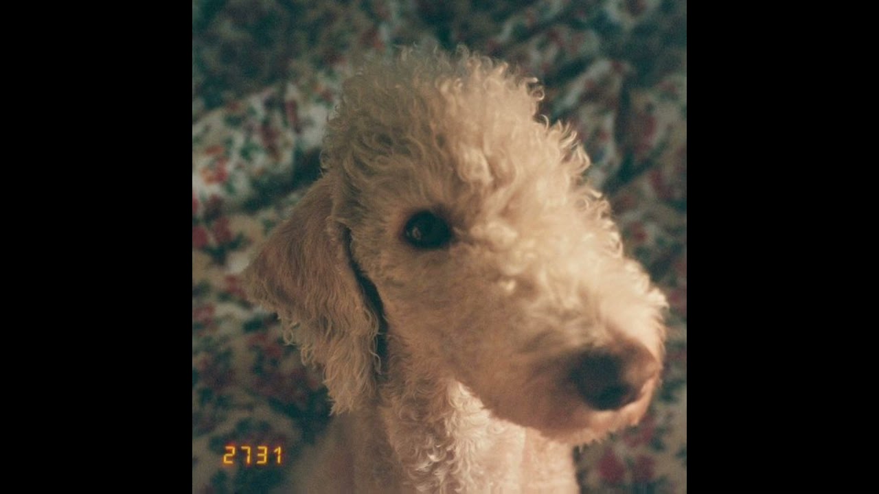 세우 인 윤훼이 - 빛 [2731]