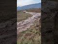 شکسته بند سنتی بلال توپچی سیل روسنا توپچی آذربایجان