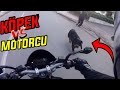 KÖPEK VS MOTORCU! Köpek Motorcuya Saldırdı!