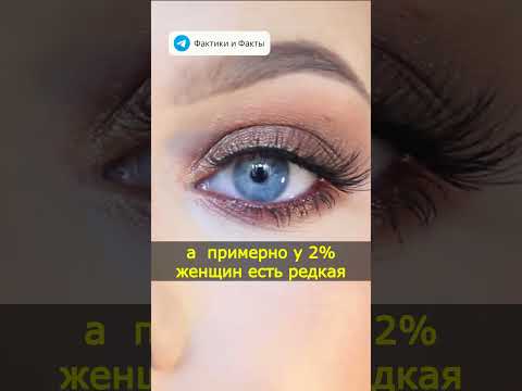 Сколько весит 1 секунда нашего зрения?