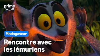 I Like To Move It Move It - Madagascar Prime 