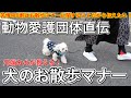 動物愛護団体直伝！犬のお散歩マナー＆しつけ講座