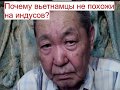 Почему вьетнамцы не похожи на индусов