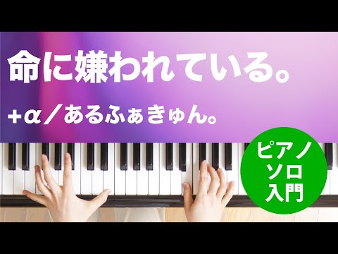 命に嫌われている。(+α／あるふぁきゅん。) 動画 ピアノ（ソロ） 入門 ダウンロード 定額サブスク