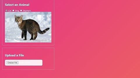 Create basic app using cursor ai + claude sonnet 3.5 (python backend)