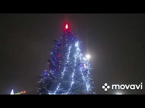 Полу новогодняя Жуковка