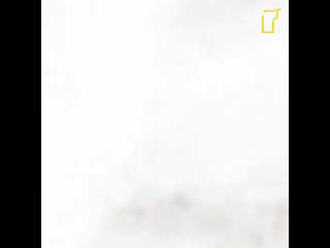 شاهد هذا الفيديو ولن تندم