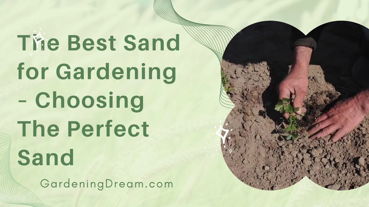 The Best Sand For Gardening – Ultimate Guide To Choosing The Perfect Sand 