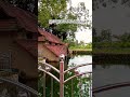 തകഴി ശ്രീ ധർമ്മ ശാസ്താ ക്ഷേത്രം #song #music #subscribe #entertainment #love #comedydub